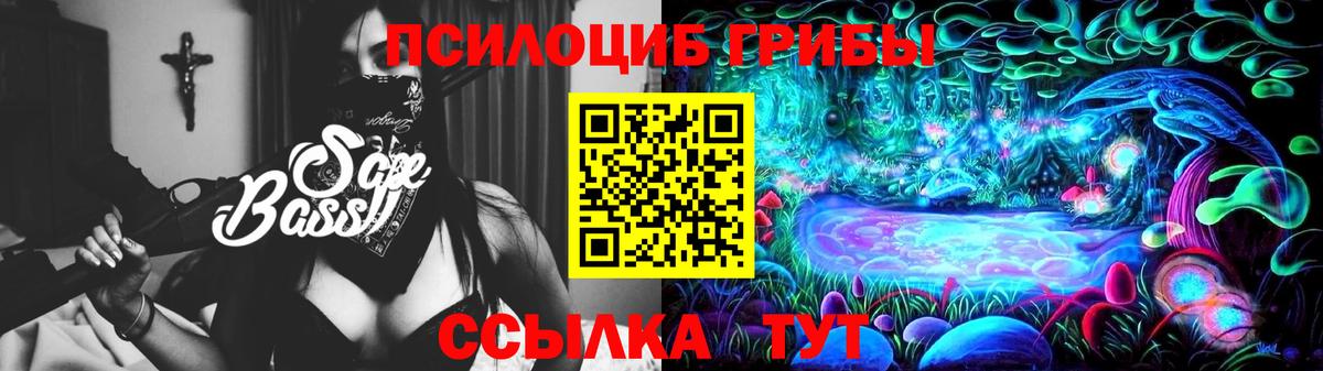 Псилоцибиновые грибы Psilocybine cubensis Удомля