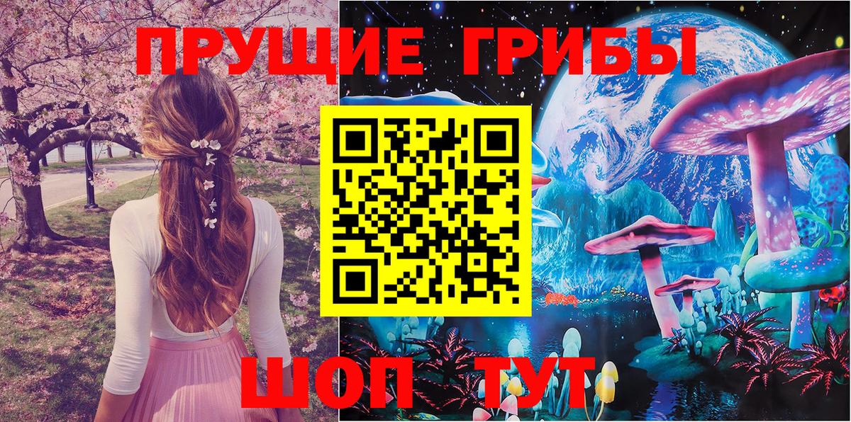хочу наркоту  Вход с VPN  Удомля  Псилоцибиновые грибы MAGIC MUSHROOMS 